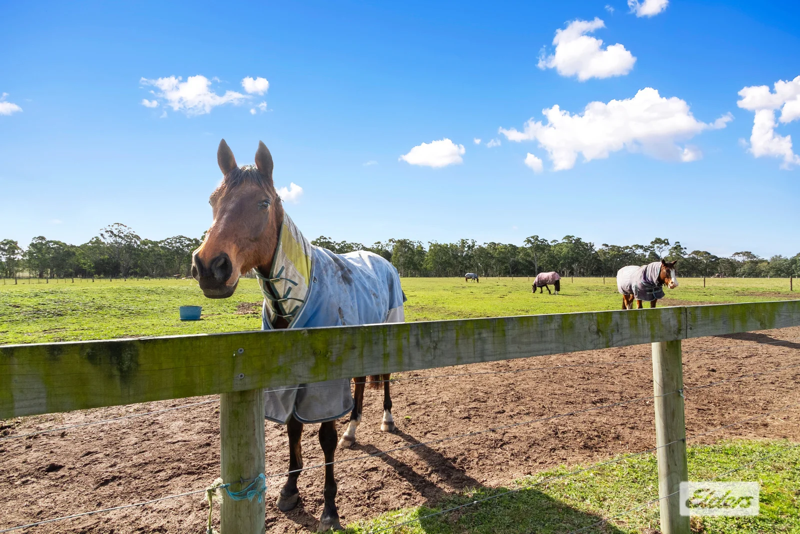 Additional image 21 of 21 Grays Road, Briagolong VIC 3860