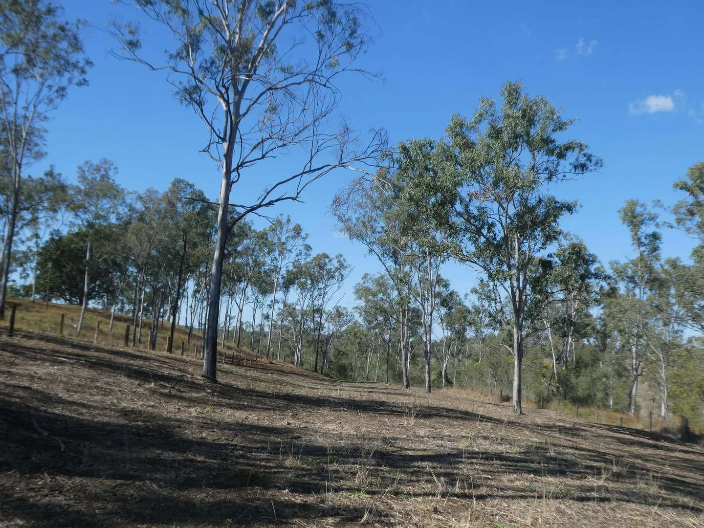 Additional image 5 of Lot 23 Walla Road, Morganville QLD 4671