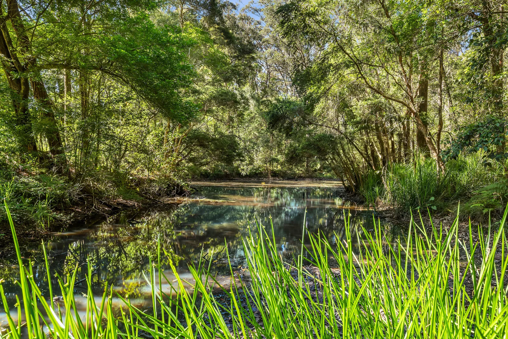 Additional image 9 of 60 Glen Road, Ourimbah NSW 2258