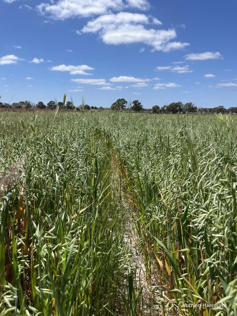 Additional image 5 of Lot 702 Dale Kokeby Road, Kokeby WA 6304