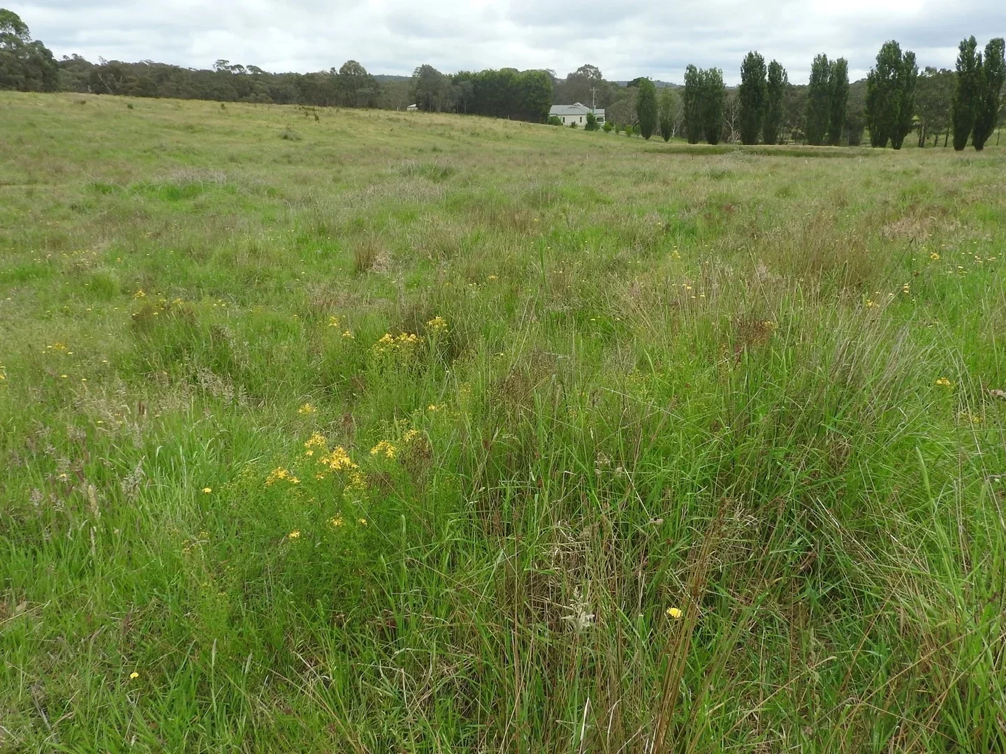 Additional image 4 of 158 Portland Sunny Corner Road, Portland NSW 2847