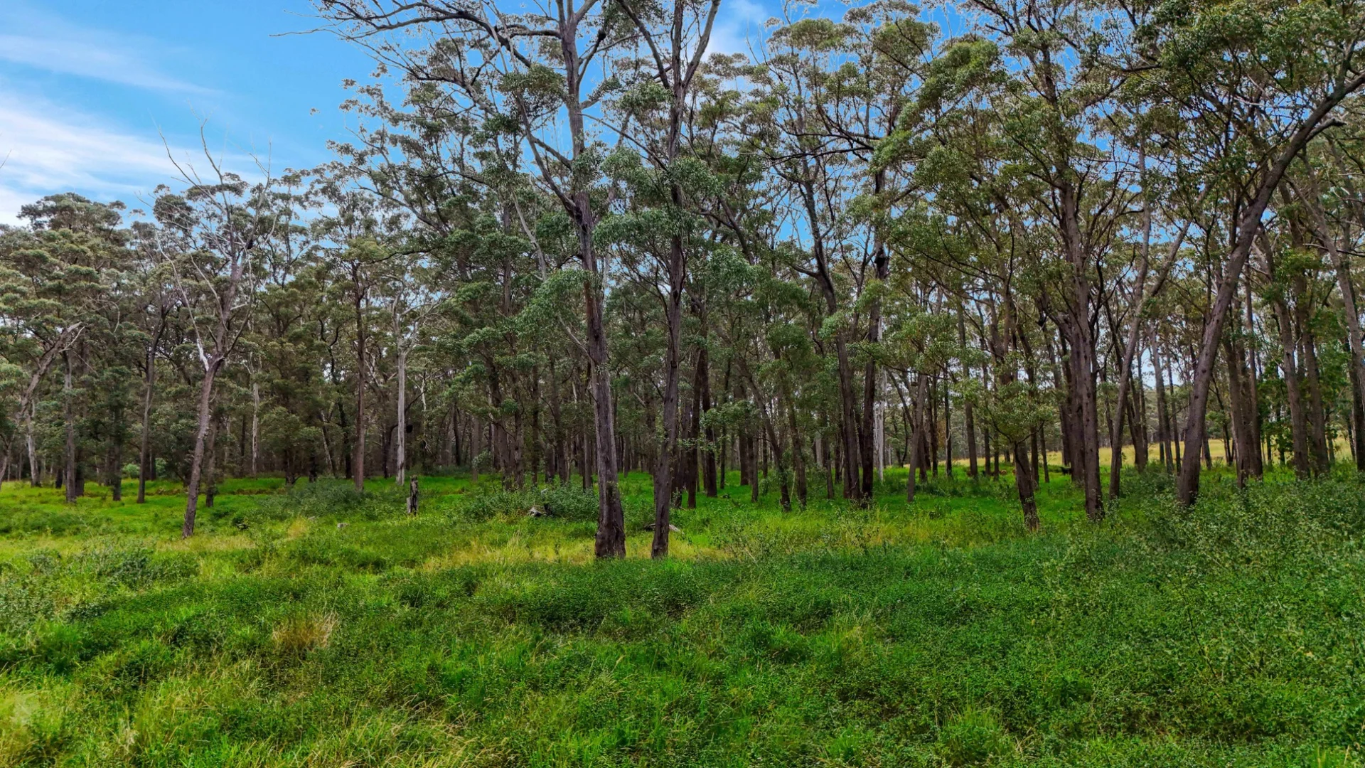 Additional image 50 of Lot 83 Chester Road, Wondecla QLD 4887