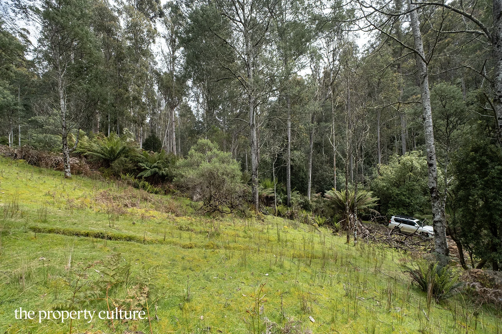 Additional image 15 of 1, 2 & 3 Bakers Creek Rd, Lucaston TAS 7109