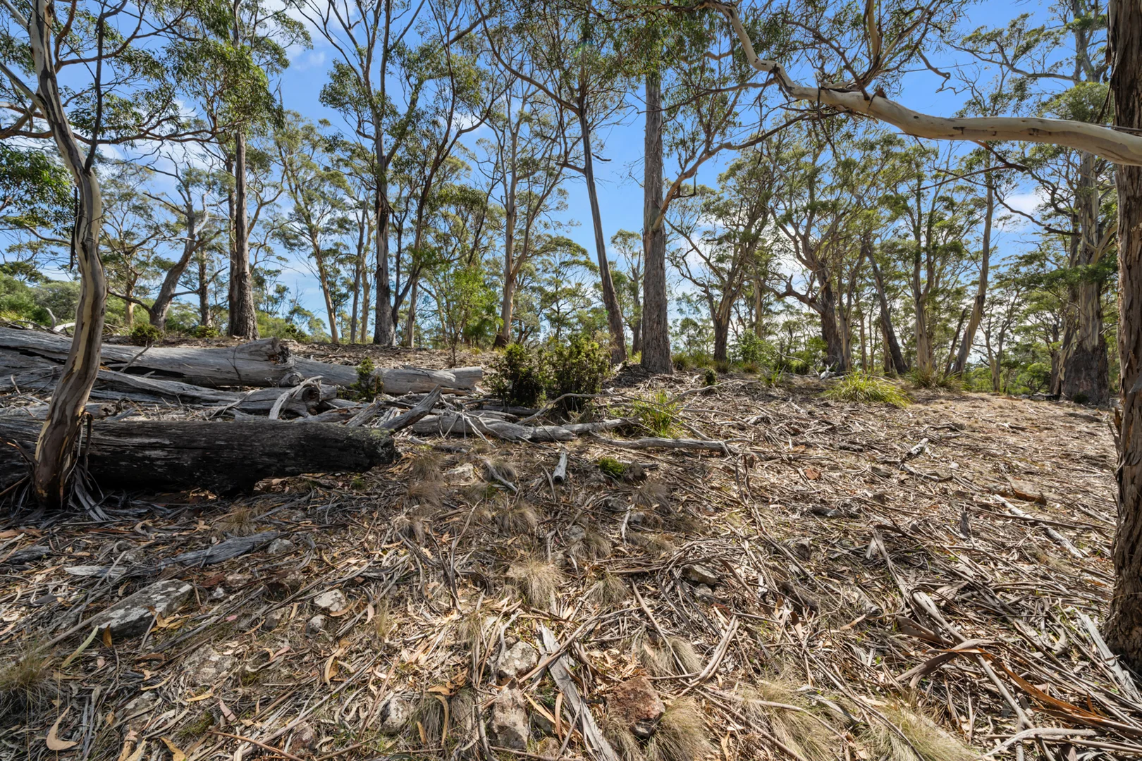 Additional image 28 of 108 Happy Valley Road, Spring Beach TAS 7190