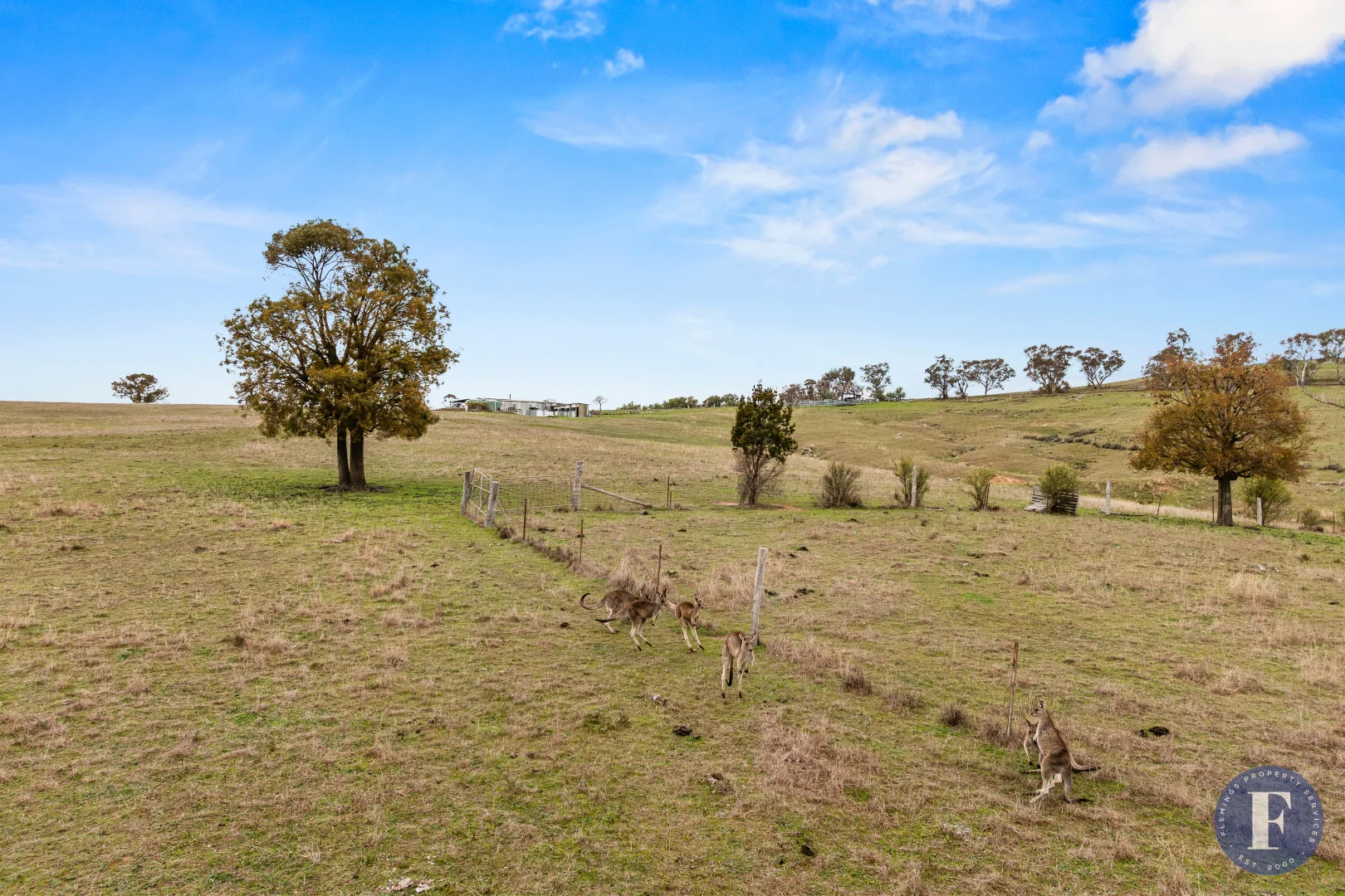 Additional image 12 of 458 Ironbark Lane, Frogmore NSW 2586