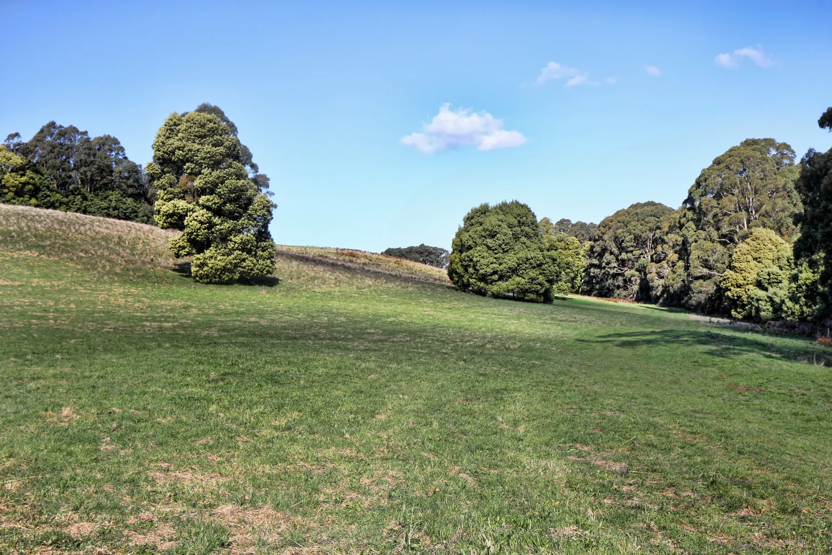 Additional image 16 of 131 Shannons Lane, Kerrie VIC 3434