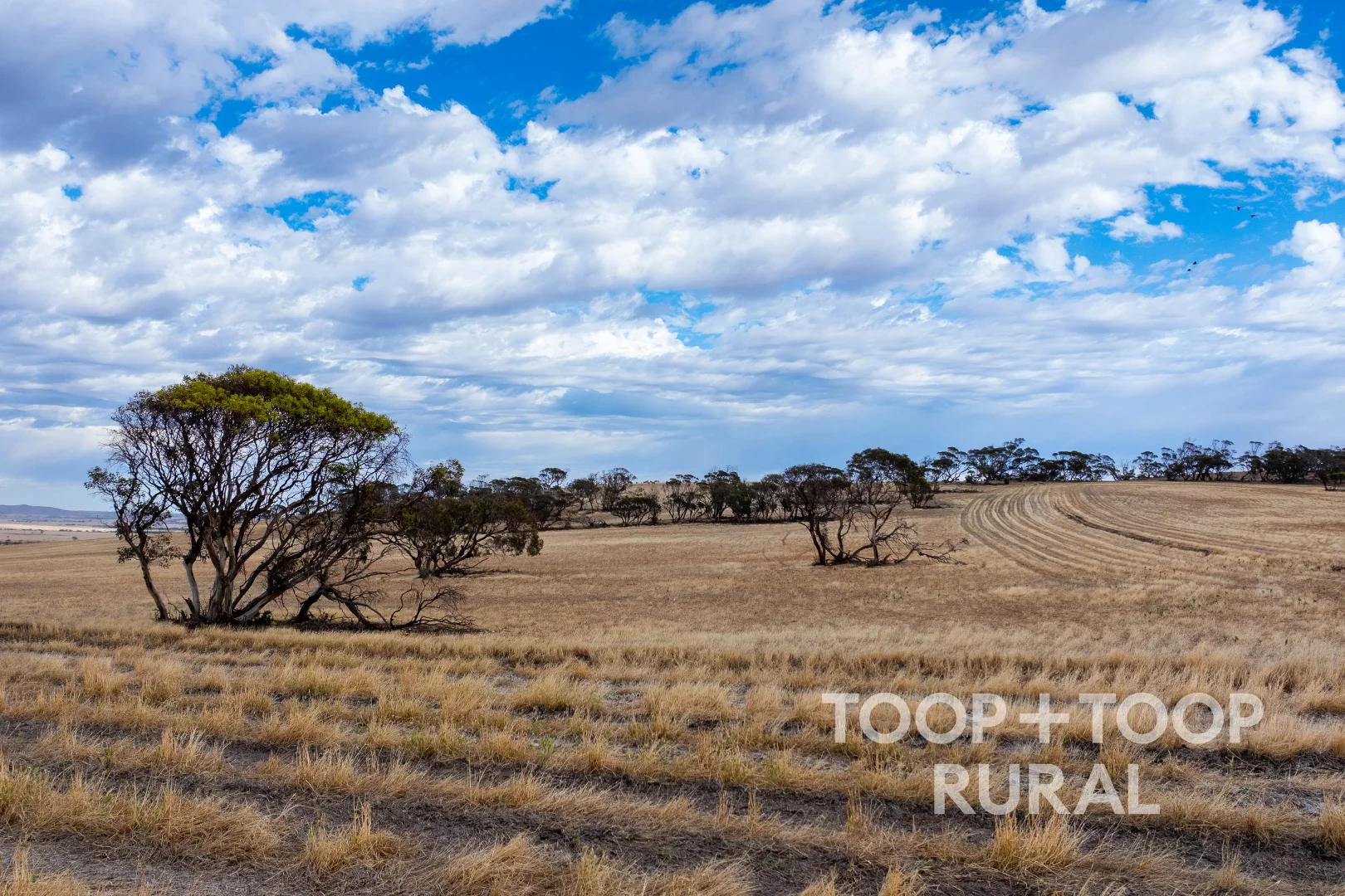 Additional image 7 of Goyder Road, Frankton SA 5374