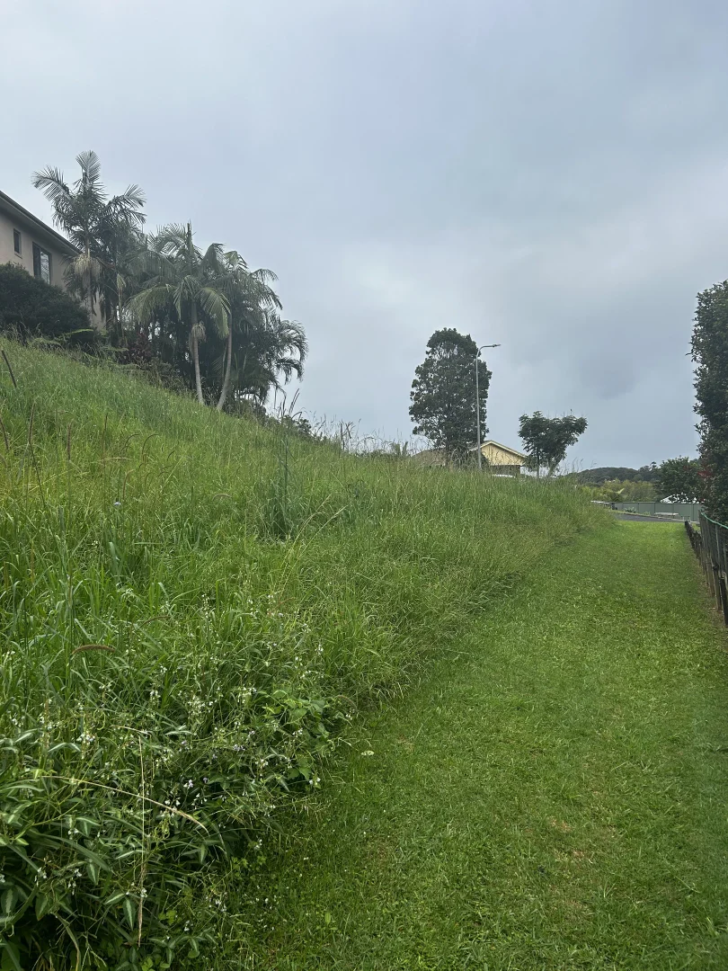Additional image 4 of 8 Gallagher Pl, Coffs Harbour NSW 2450