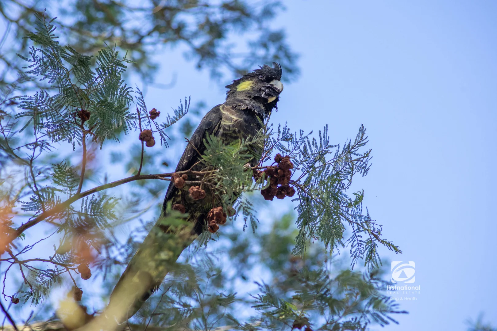 Additional image 33 of 140 Centre Road, Raymond Island VIC 3880