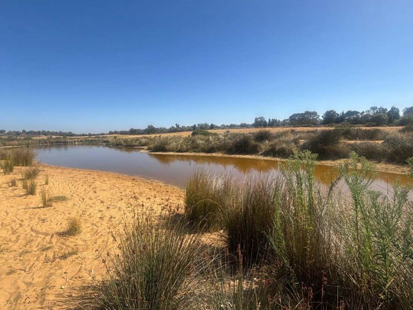 Additional image 4 of 1105 Coorow-Greenhead Road, Coorow WA 6515