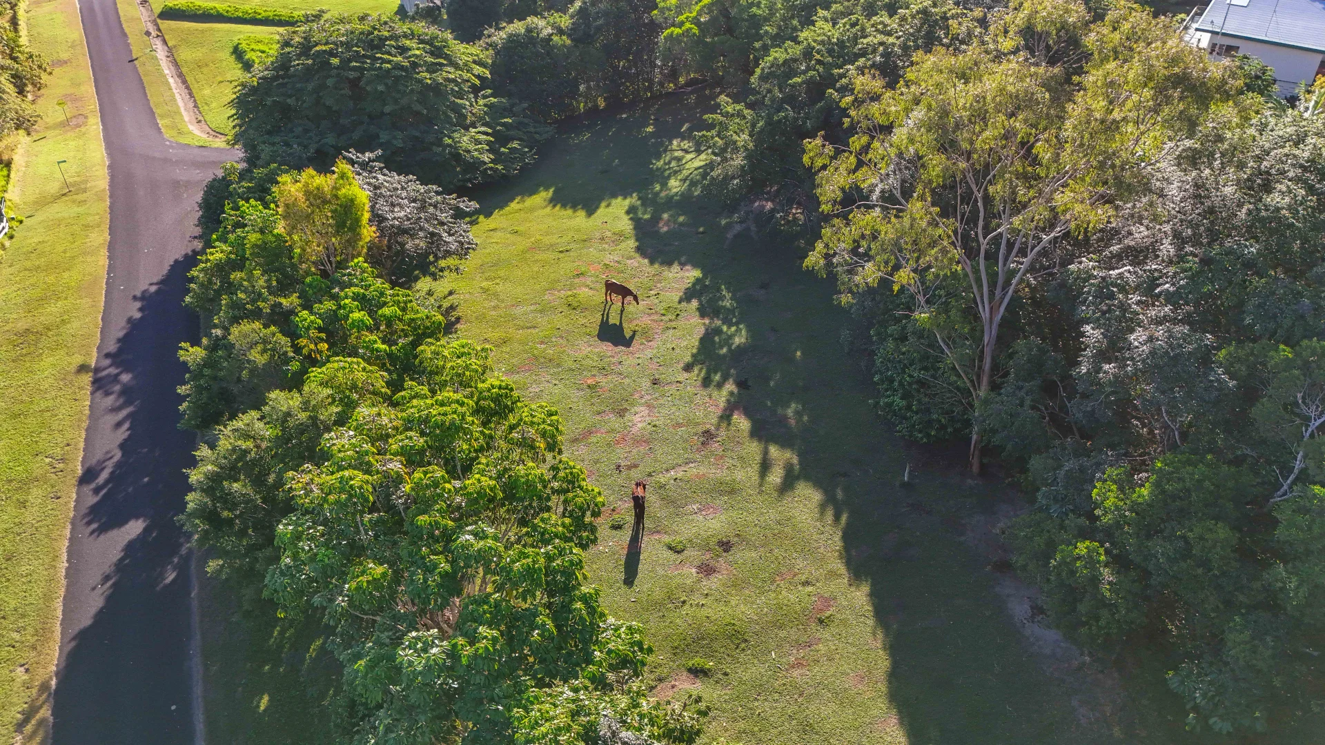 Additional image 5 of 53 Edward Elgar Close, Speewah QLD 4881