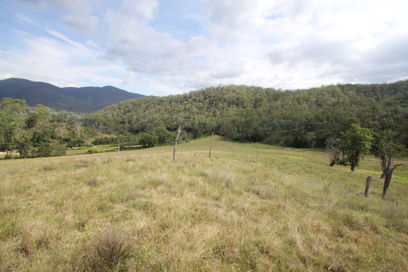 Additional image 10 of 1272 Rocky River Road, Tenterfield NSW 2372