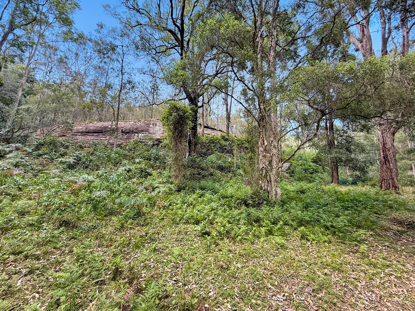 Additional image 22 of Laguna NSW 2325