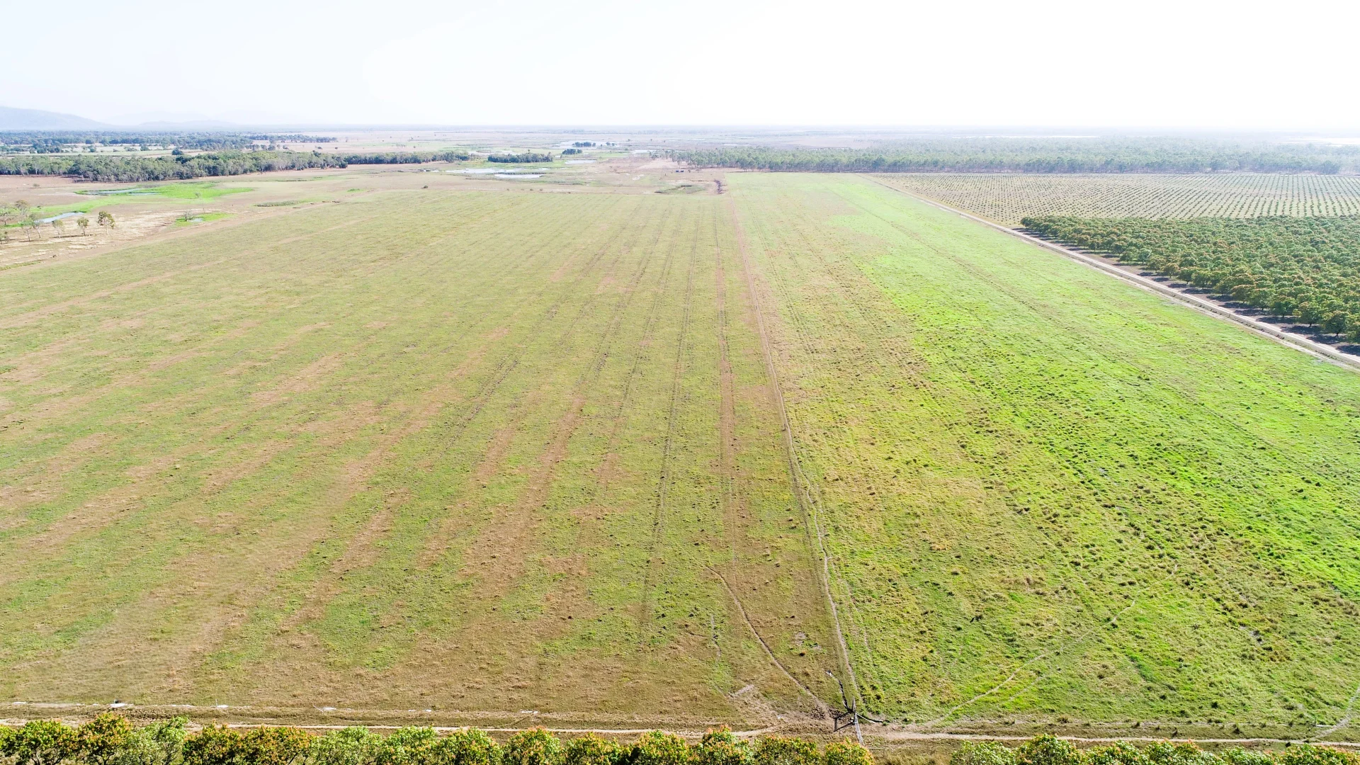Additional image 6 of 3 Comiskey Road, Horseshoe Lagoon QLD 4809