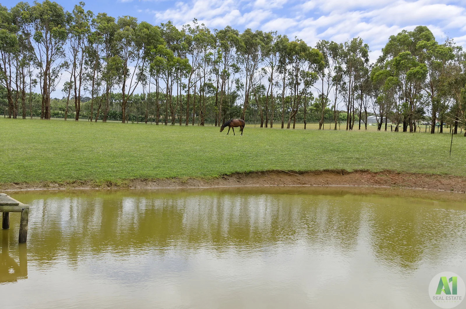 Additional image 17 of 24 Tully Lane, Bolwarra VIC 3305