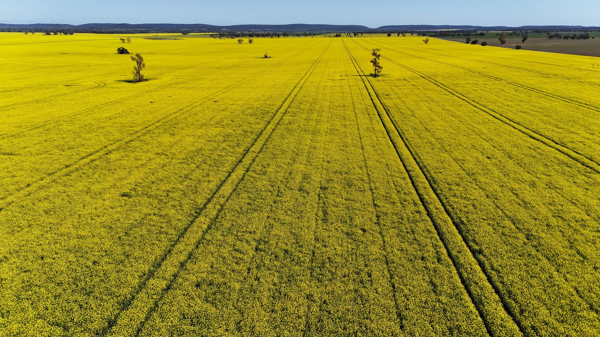 Additional image 6 of 2459 The Bogan Way, Parkes NSW 2870