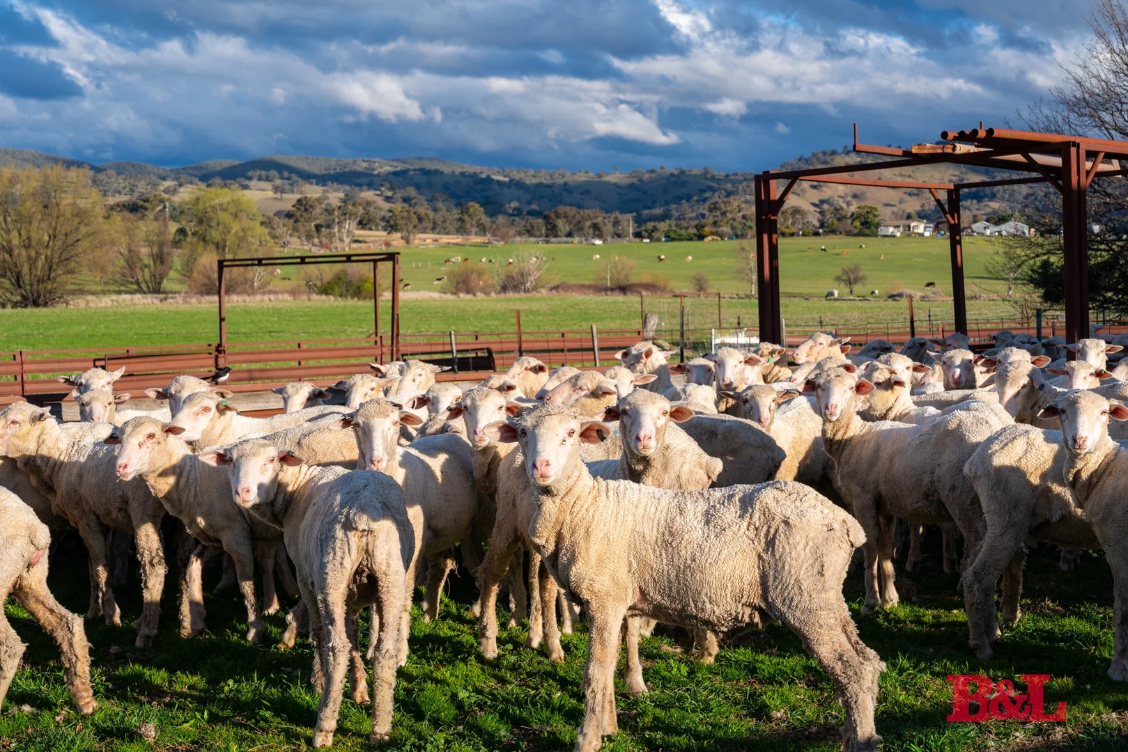 Additional image 22 of 2989 Sofala Road, Wiagdon NSW 2795