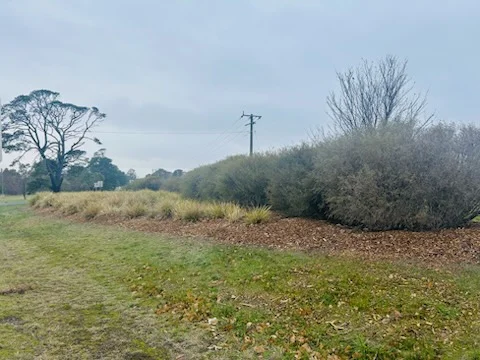 Additional image 9 of 12 MOLLISON ST MALMSBURY, Malmsbury VIC 3446