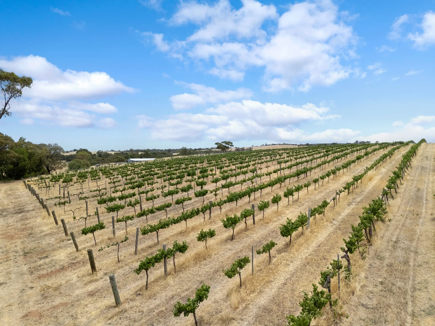 Additional image 10 of Lot 15 Horrocks Highway, Auburn SA 5451