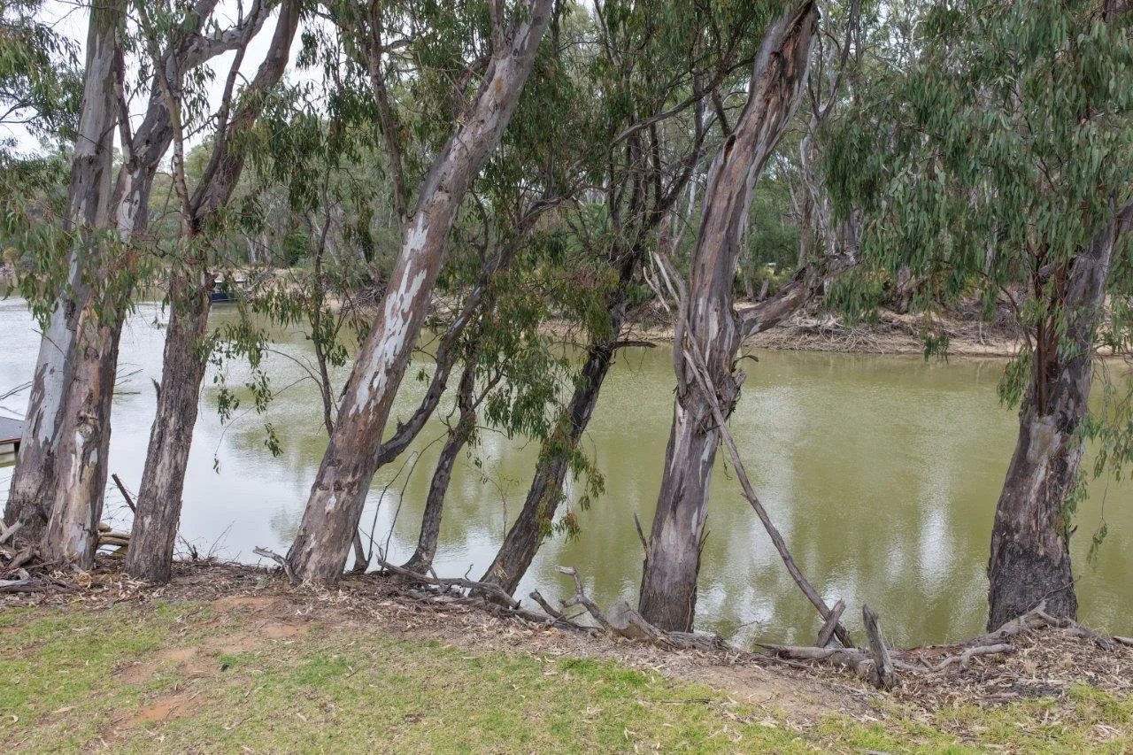 Additional image 4 of 31 ARMSTRONG DRIVE, Barham NSW 2732