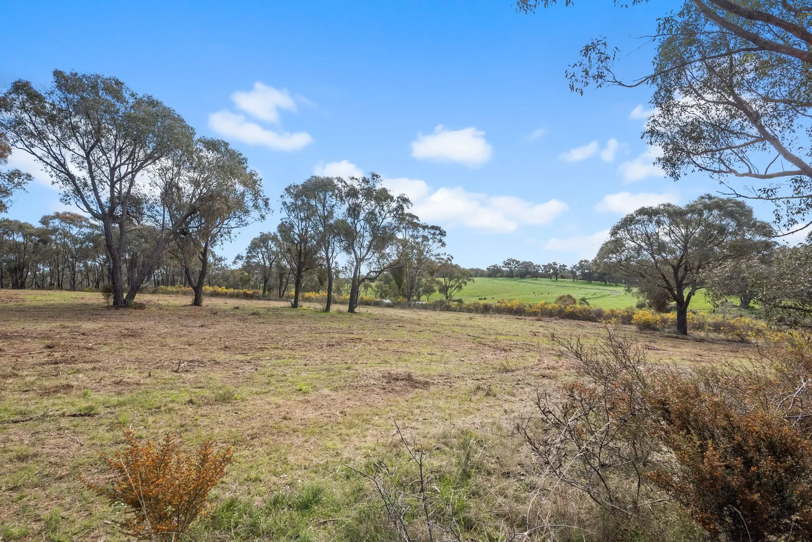 Additional image 2 of Lot 2 Sutton Grange Rd, Sedgwick VIC 3551