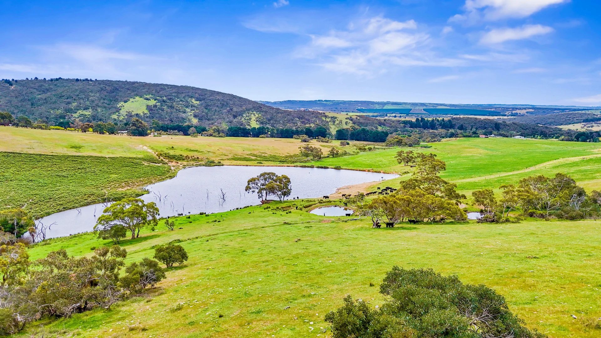 Additional image 7 of 700 Cleland Gully Road, Tooperang SA 5255