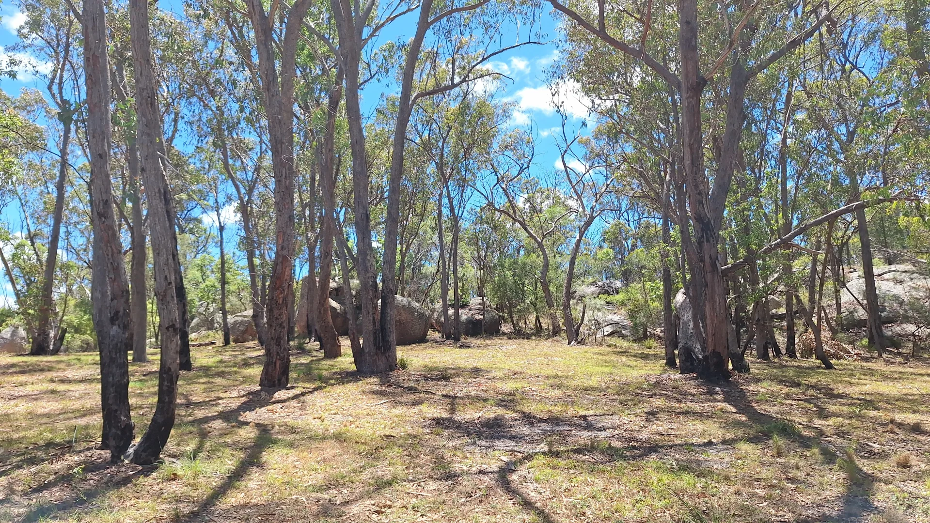 Additional image 19 of 113 Minuti Lane, Amiens QLD 4380