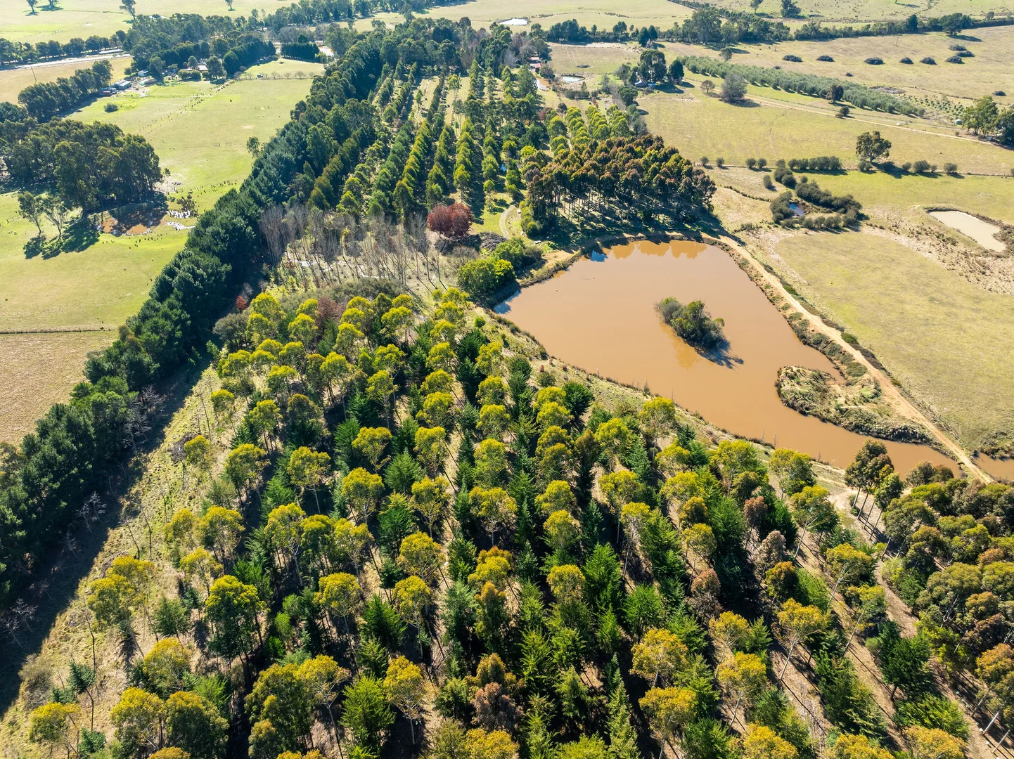 Additional image 14 of 252 Taggerty - Thornton Road, Taggerty VIC 3714