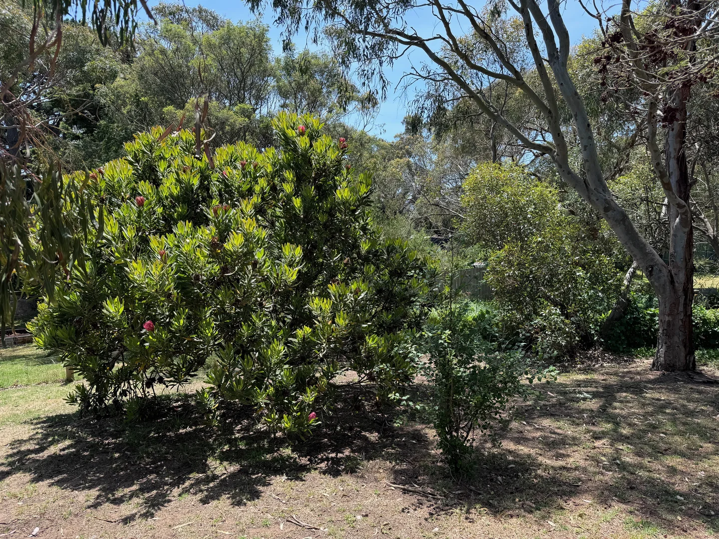 Additional image 5 of 34 Centre Road, Venus Bay VIC 3956