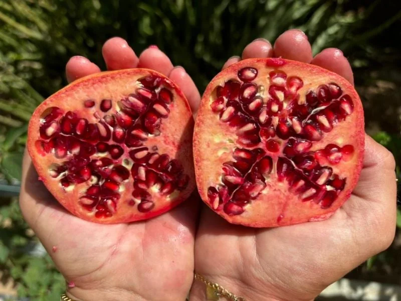 Additional image 4 of Ingoldsby QLD 4343