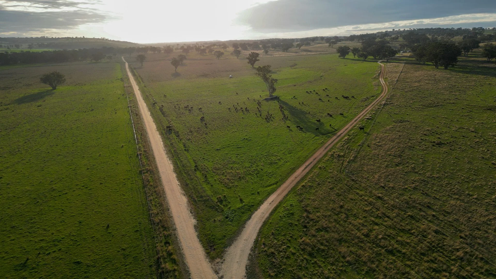 Additional image 8 of 1559 Digilah Road, Dunedoo NSW 2844