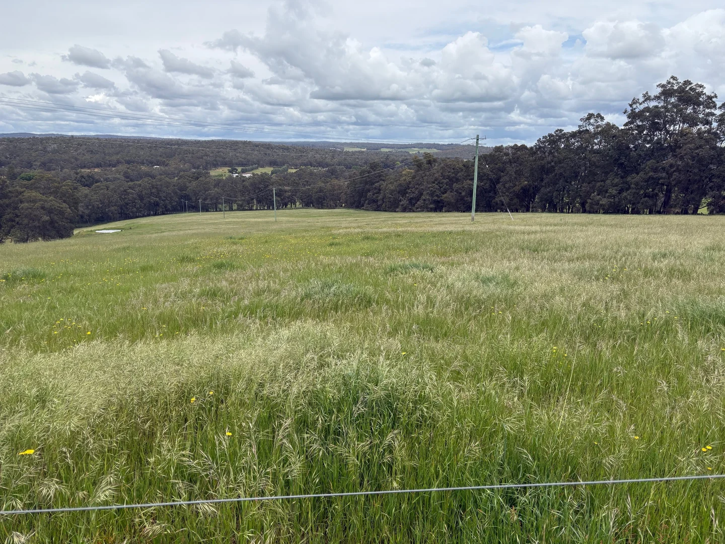 Additional image 9 of Lot 72 Beelerup Road, Beelerup WA 6239