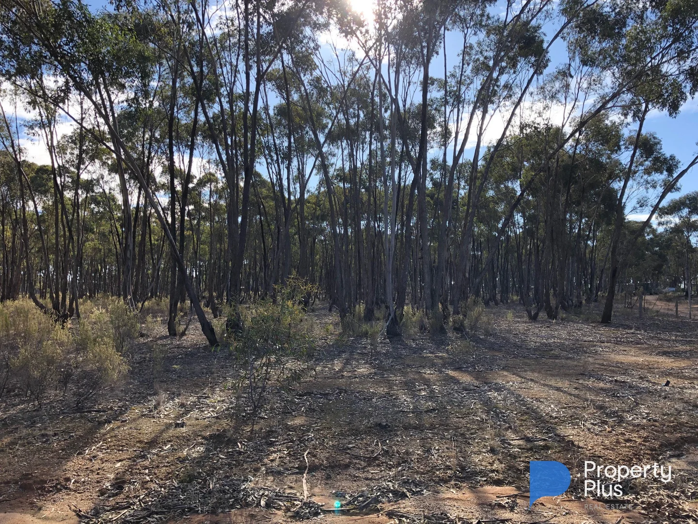 Additional image 5 of 59 Palmer Road, Simson VIC 3465