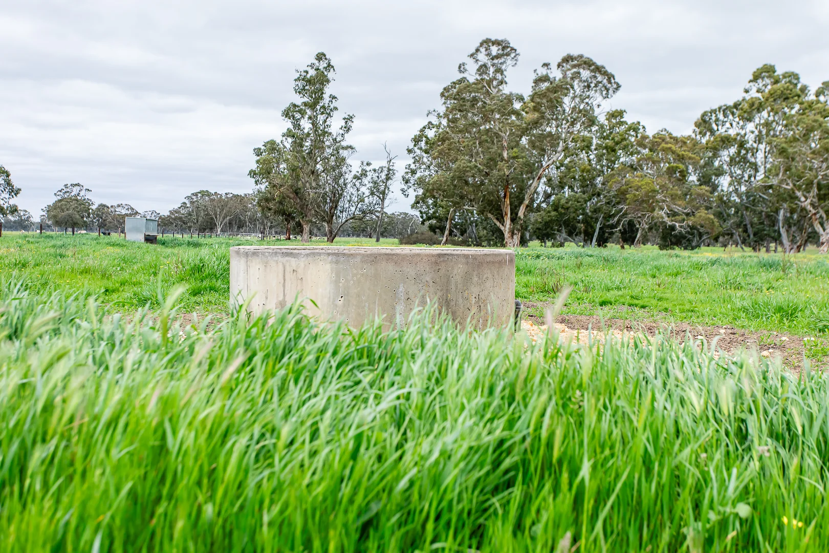 Additional image 15 of 520 Walkington Hills Road, Bangham SA 5268