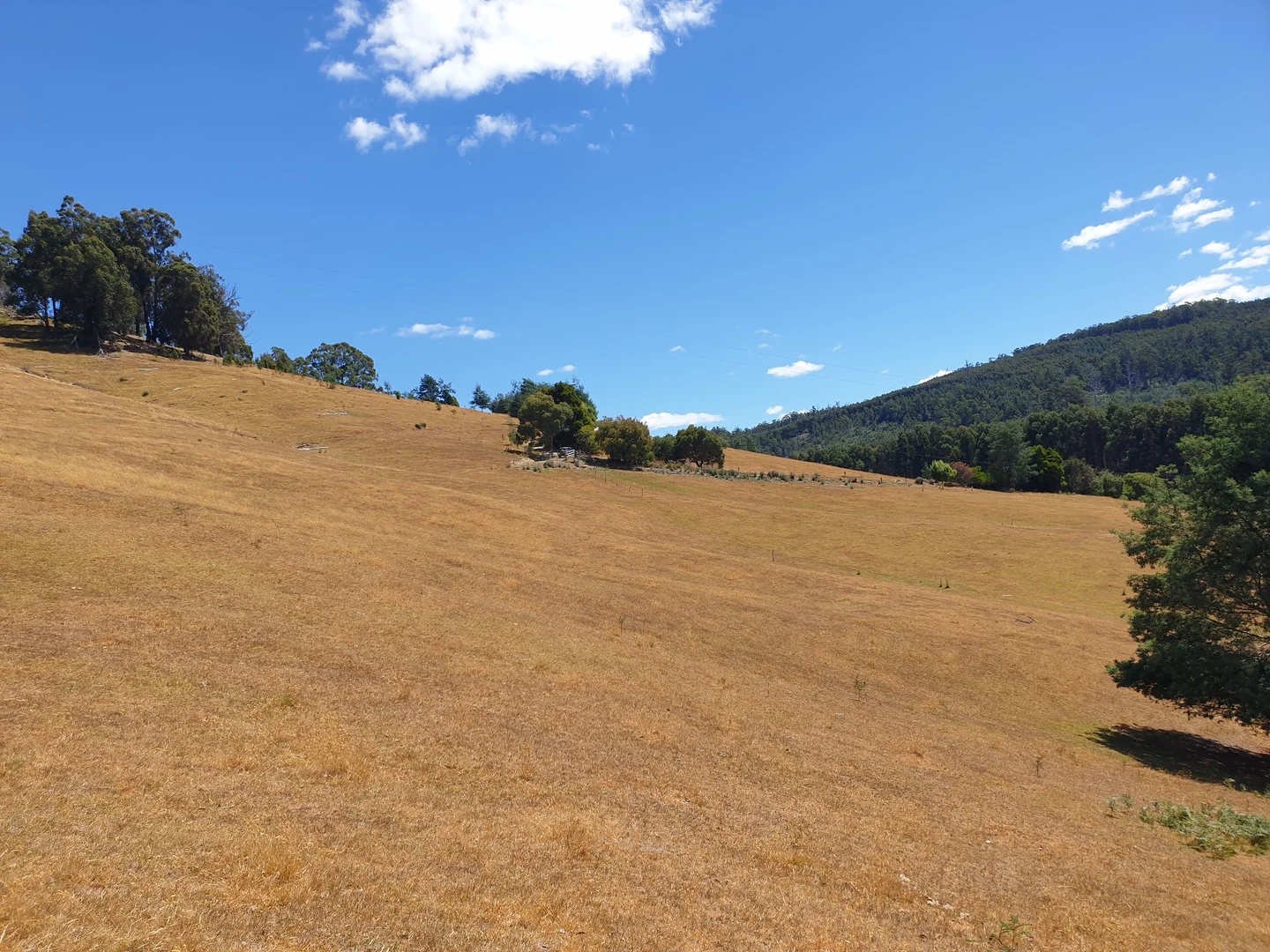 Additional image 4 of Lot 3 Ferrar Road, Geeveston TAS 7116