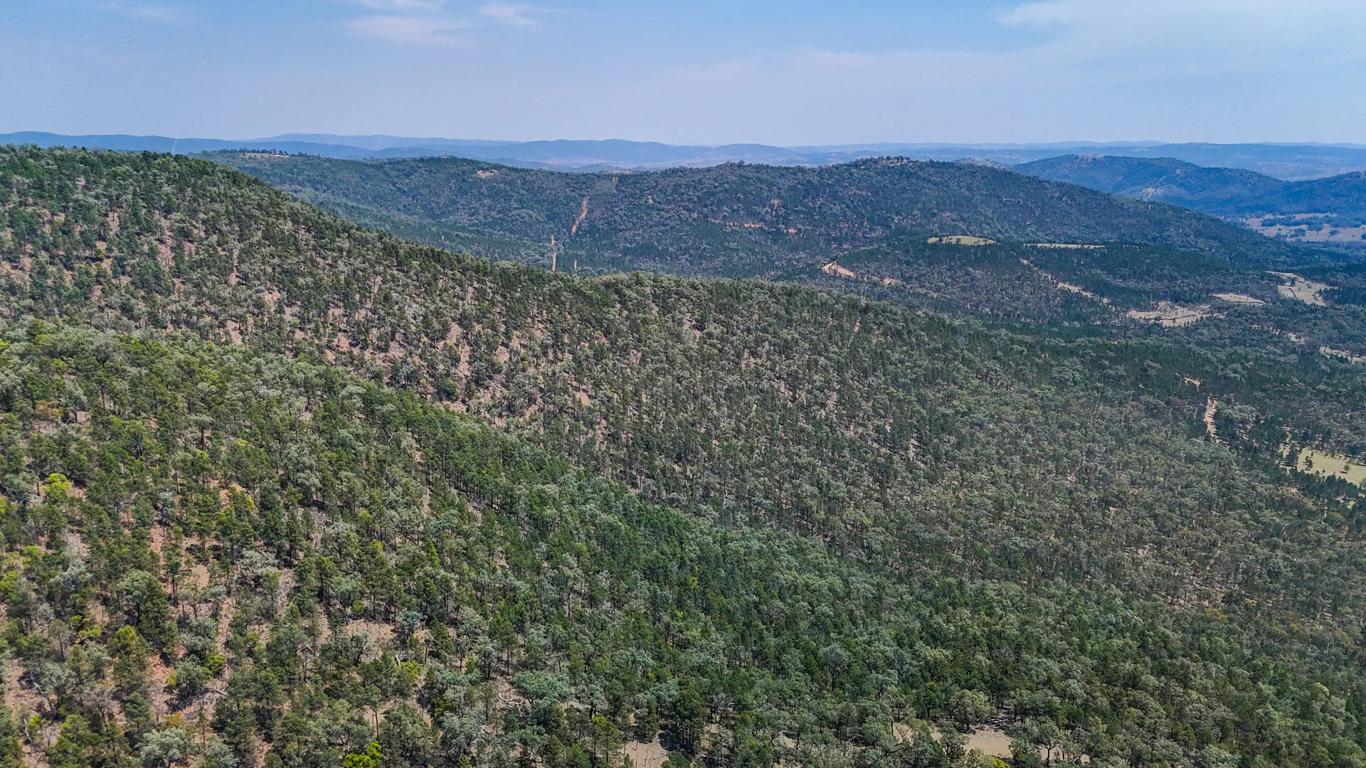 Additional image 4 of 404 Mountain Creek Road, Tenterfield NSW 2372