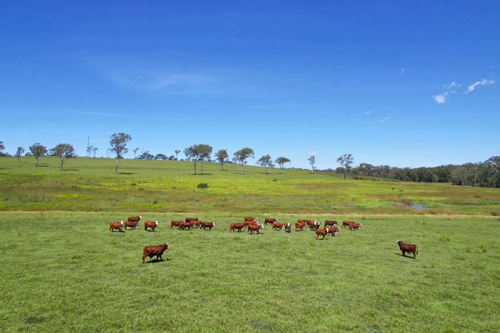 Additional image 3 of 2617 Mount Fox Road, Mount Fox QLD 4850