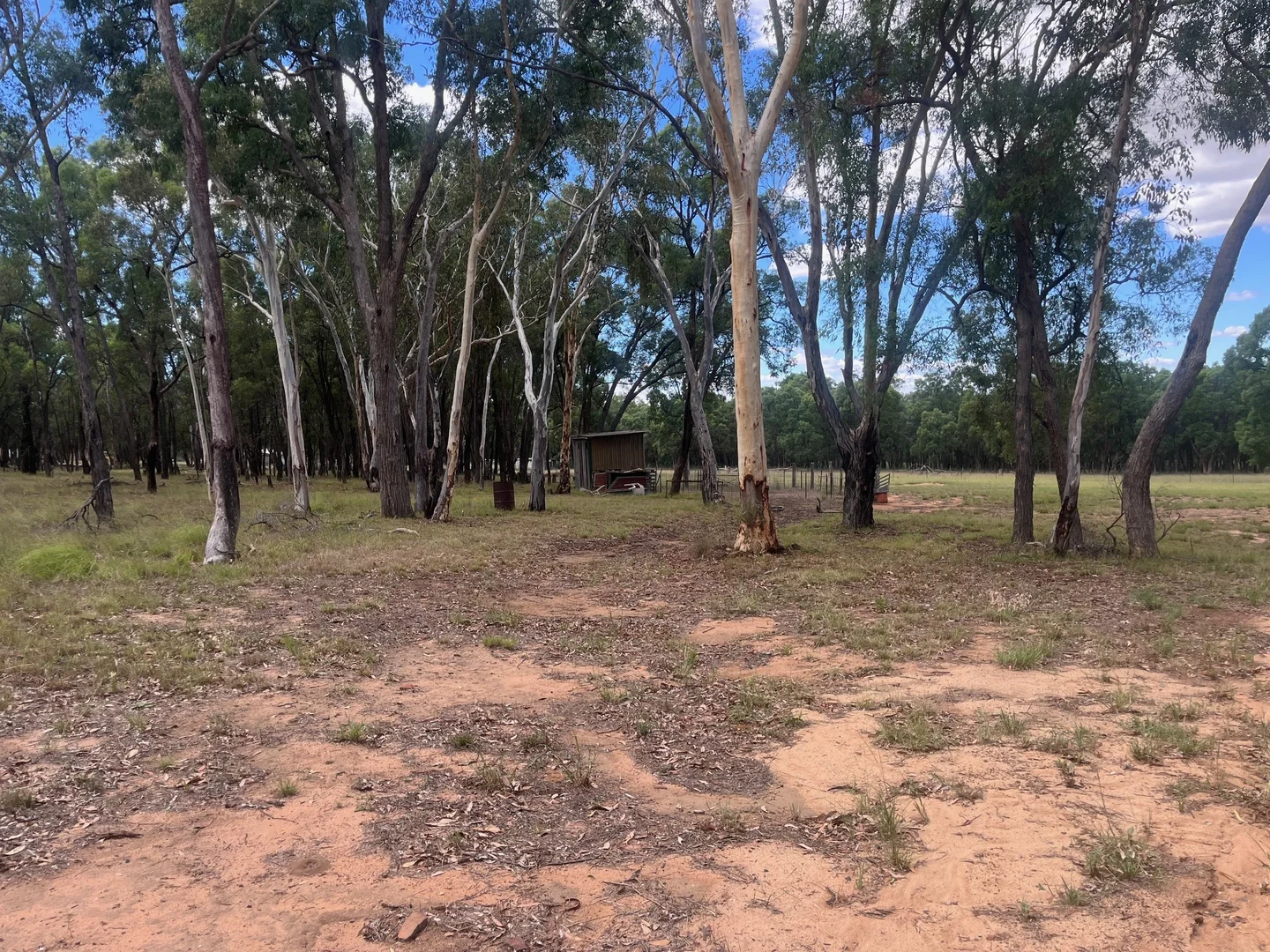 Additional image 30 of 122 Dows Lane, Coonabarabran NSW 2357