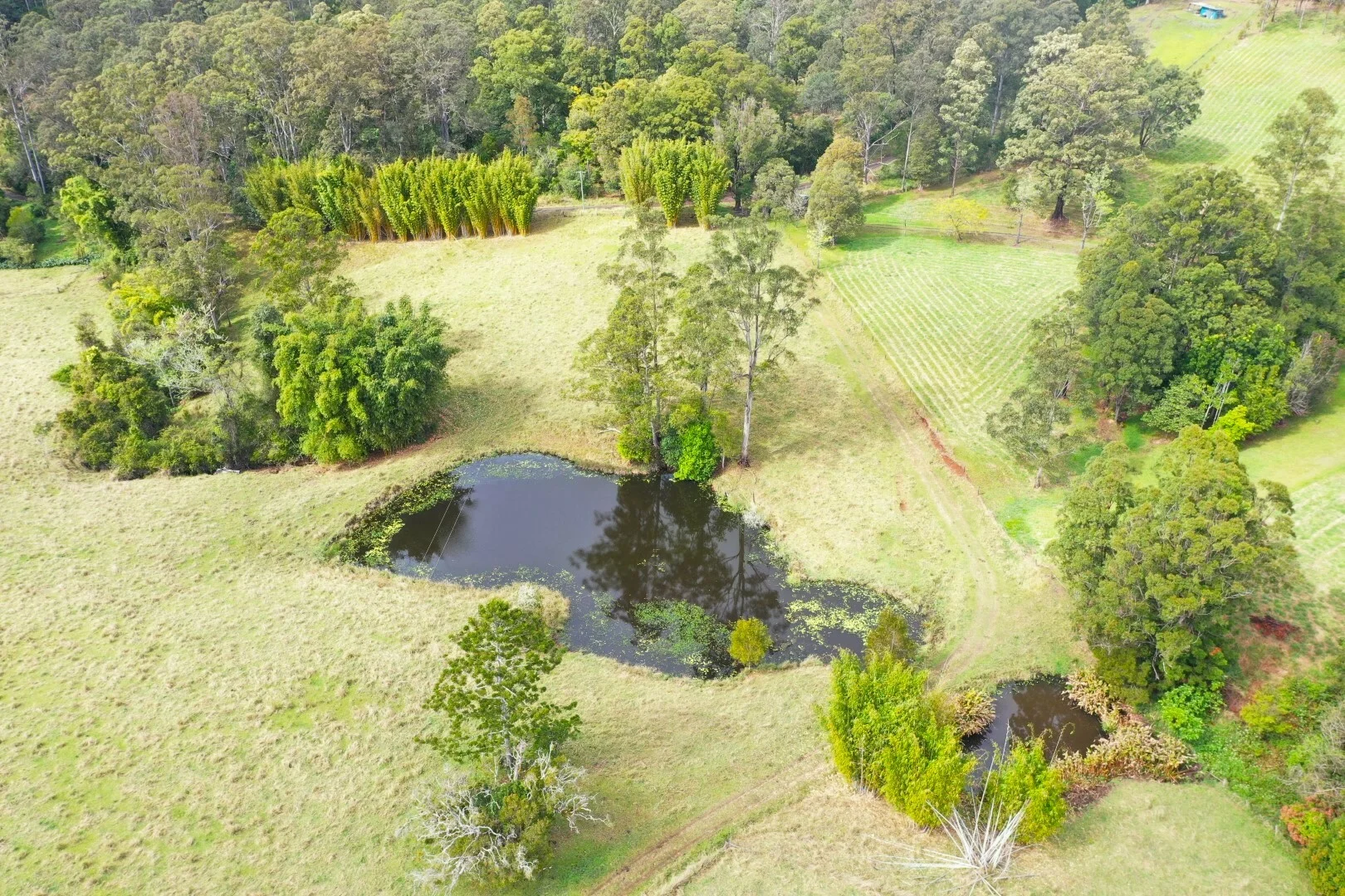 Additional image 24 of 66 Old Tweed Road, Wadeville NSW 2474
