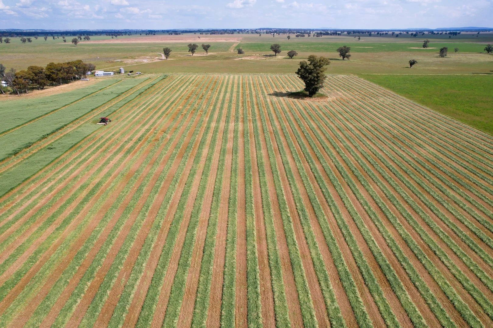 Additional image 12 of 1715 The Bogan Way, Forbes NSW 2871