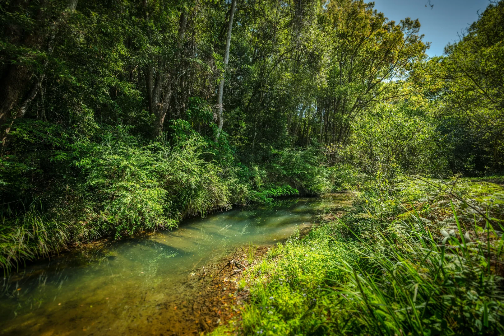 Additional image 29 of 259 Kalang Road, Bellingen NSW 2454