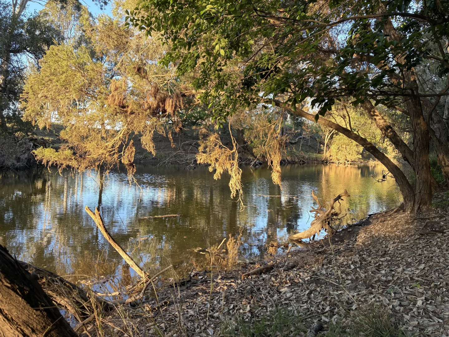 Additional image 18 of Monto QLD 4630