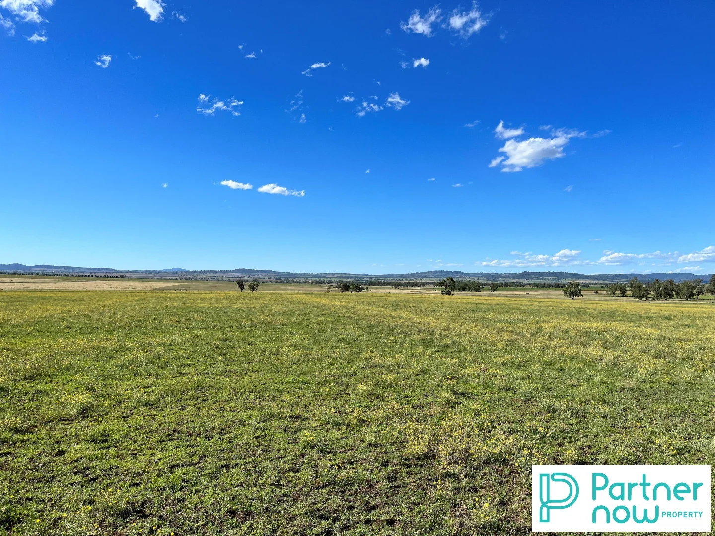 Additional image 8 of 205 Gidley-Appleby Road, Tamworth NSW 2340
