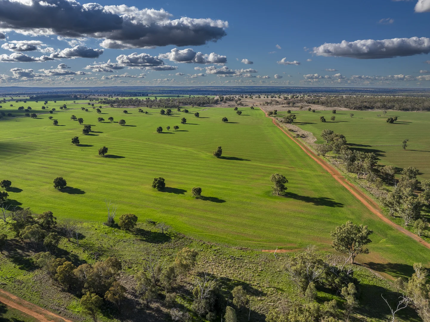 Additional image 16 of Ashford Heath 47 Adios Lane, Bogan Gate NSW 2876