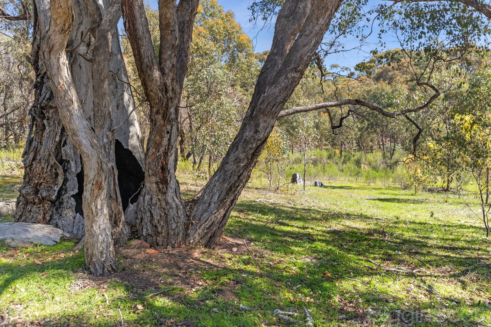 Additional image 20 of 595 Providence Gully Road, Yandoit Hills VIC 3461