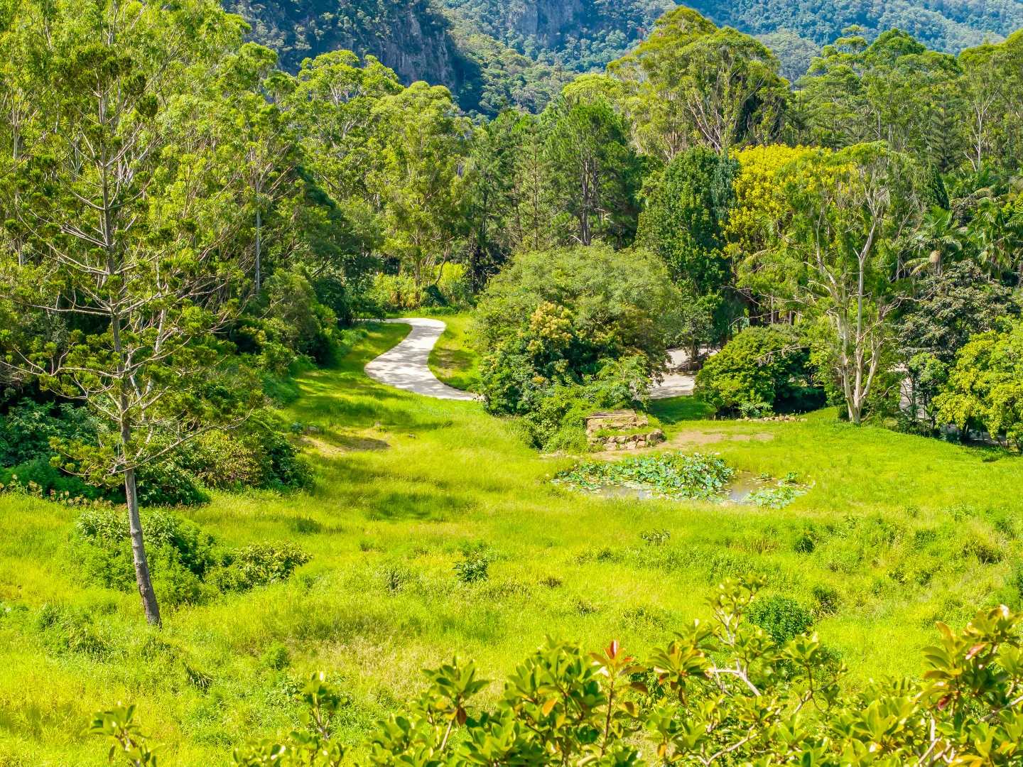 Additional image 19 of 196-276 Kaiser Road, Tamborine Mountain QLD 4272