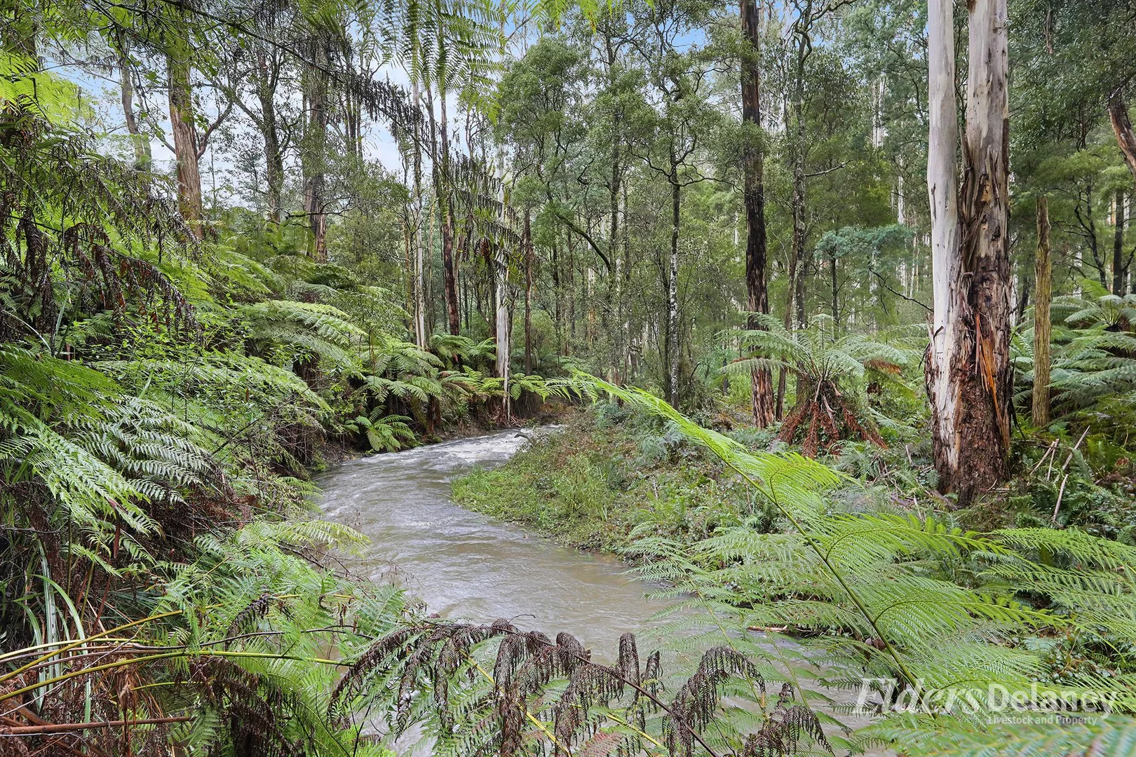 Additional image 21 of 134 Duggan North Road, Fumina VIC 3825