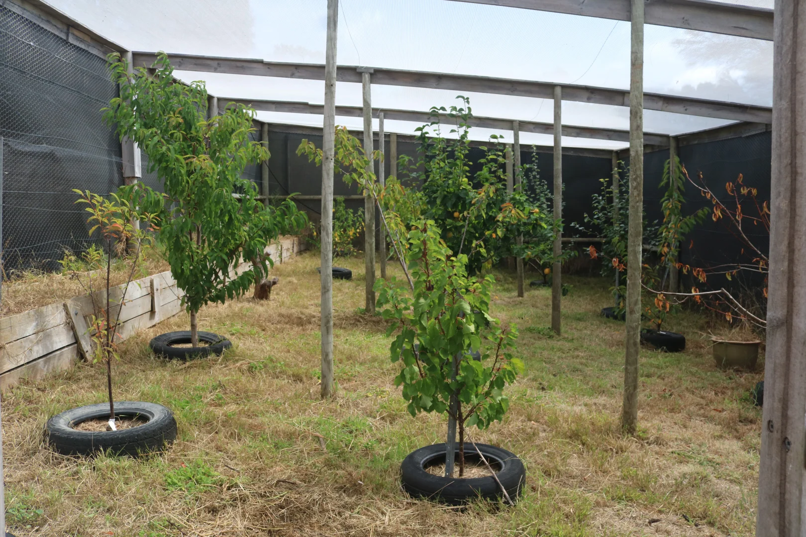 Additional image 10 of 533 Killiecrankie Road, Killiecrankie TAS 7255