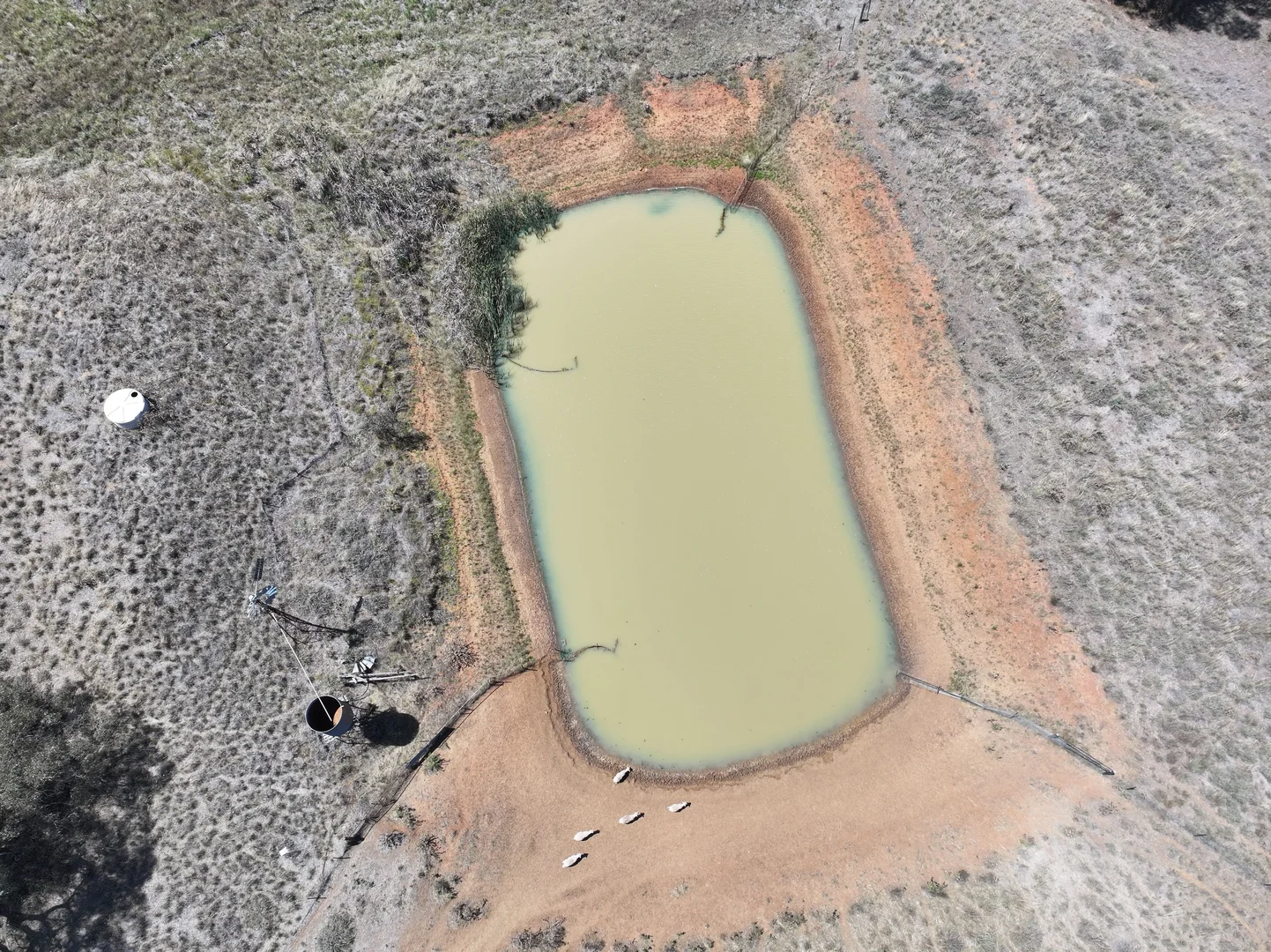 Additional image 5 of "Glen Avon" 99 Davies Lane, Caragabal NSW 2810