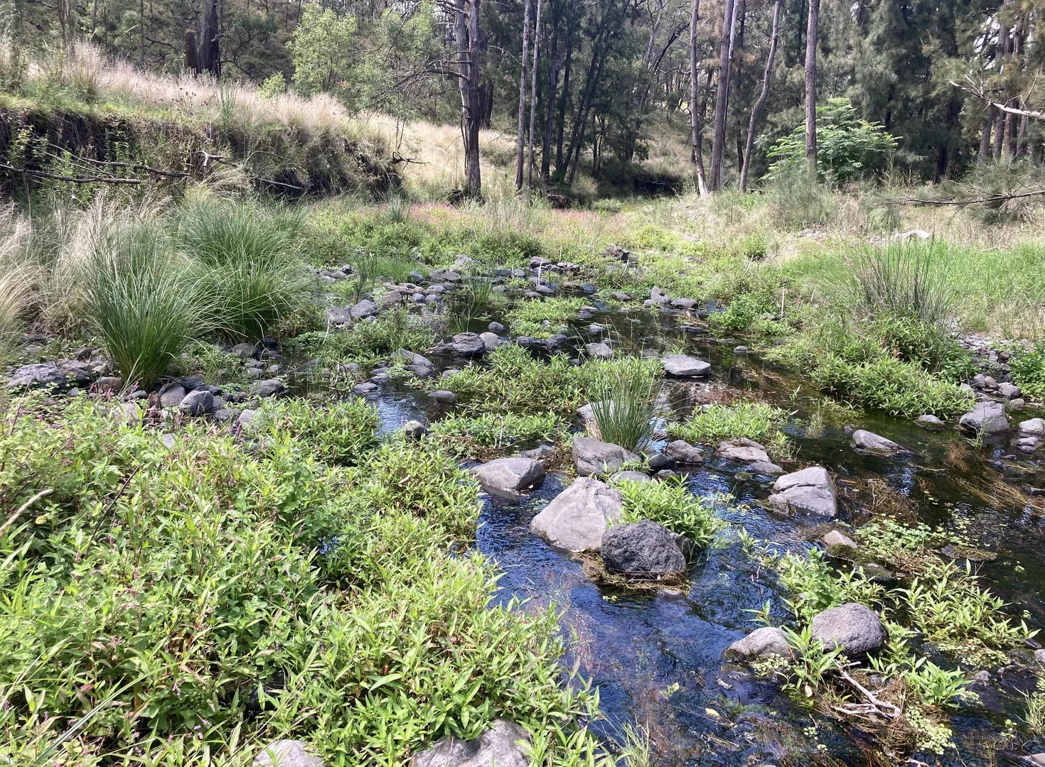 Additional image 2 of 23, 23 Pembroke Road, Cassilis NSW 2329